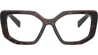 PR A04V 16N1O1 Tortoise