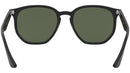 RB4306 601/71 black