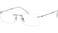 RB8755 Optics 1002