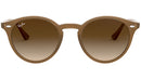 RB2180 turtledove