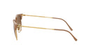 New Clubmaster RB4416 672151 Beige Gold