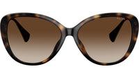RA5288U 500313 Dark Havana