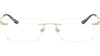 RB8781D Optics 1251