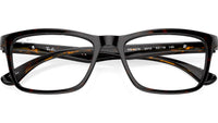 RB5279 Optics 2012