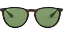Erika RB4171 6393/2 havana