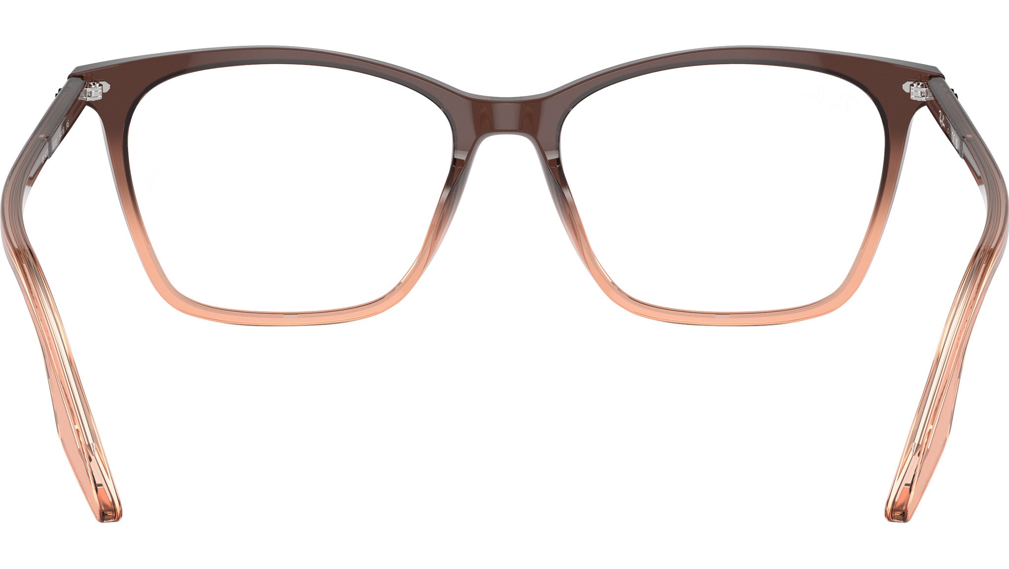 RB5422 Optics 8312