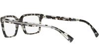 DG 3337 3172 tortoise