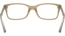 RB5228 Optics 8119