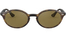 RB4315 710/73 tortoise