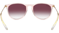 Erika RB4171 67428H