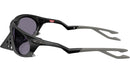 Plantaris OO9437 01