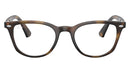 RY1601 3685 Tortoise