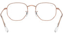 RB6448 Optics 3094