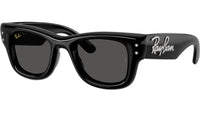 Wayfarer Puffer RB4940B 686487