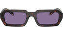 PR A12S 17N50B Tortoise