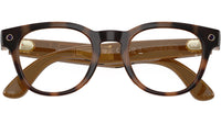 Meta Scriber Optics Gen2