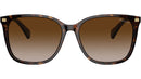 RA5293 50033B Dark Havana
