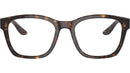 AR 7229 5879 Tortoise
