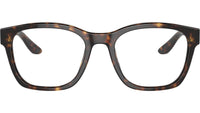 AR 7229 5879 Tortoise