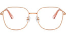SK1009D 4014