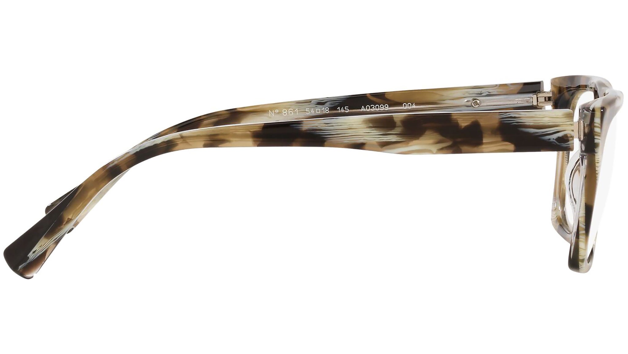 N°861 3099 004 tortoise