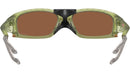 Plantaris SQ OO9529 04