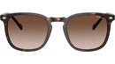 VO5328S W65613 dark havana