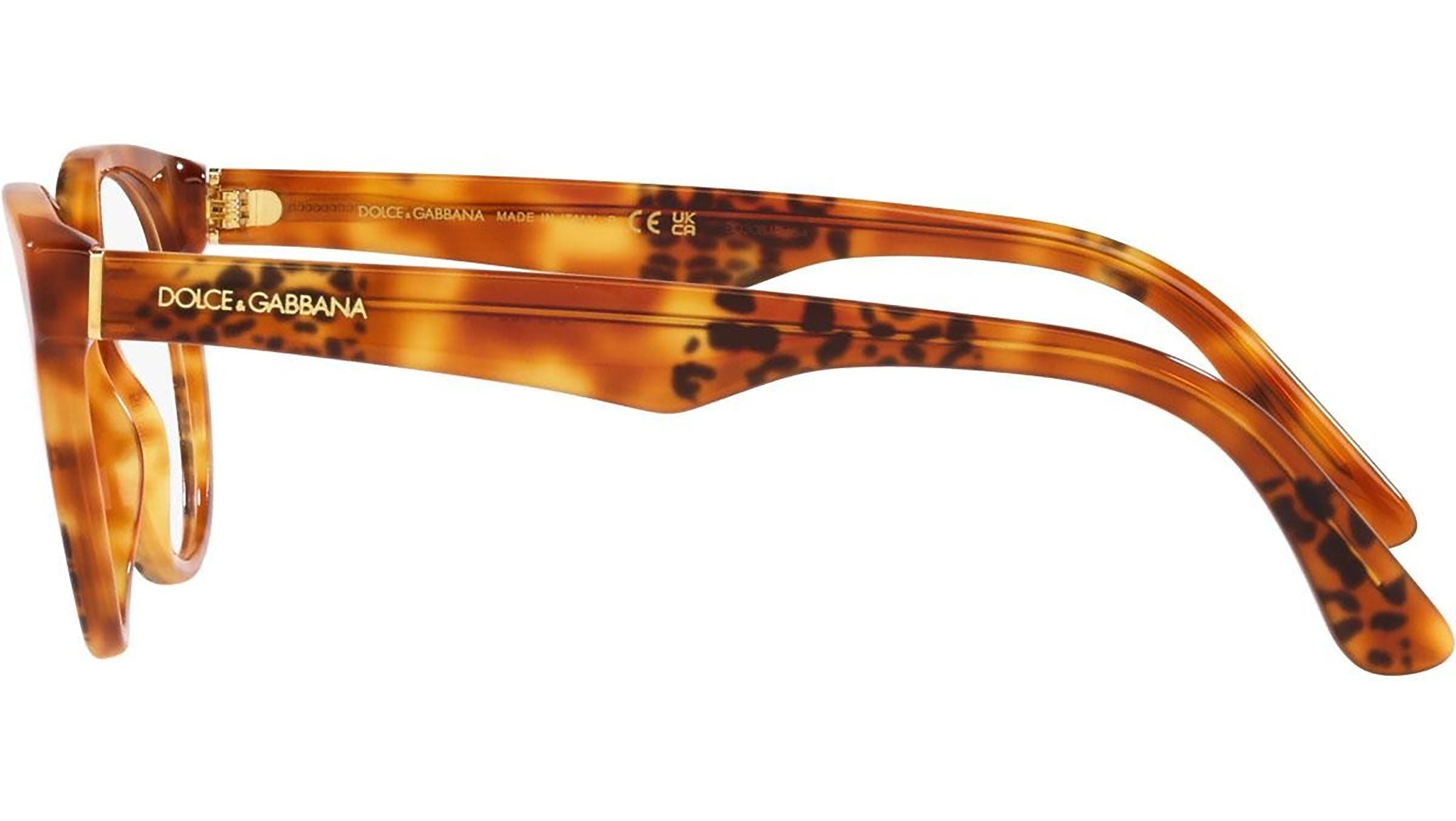 DG 3361 3380 tortoise