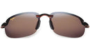Ho'Okipa R407-10 tortoise