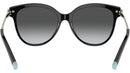 TF4193B 8001T3 Black