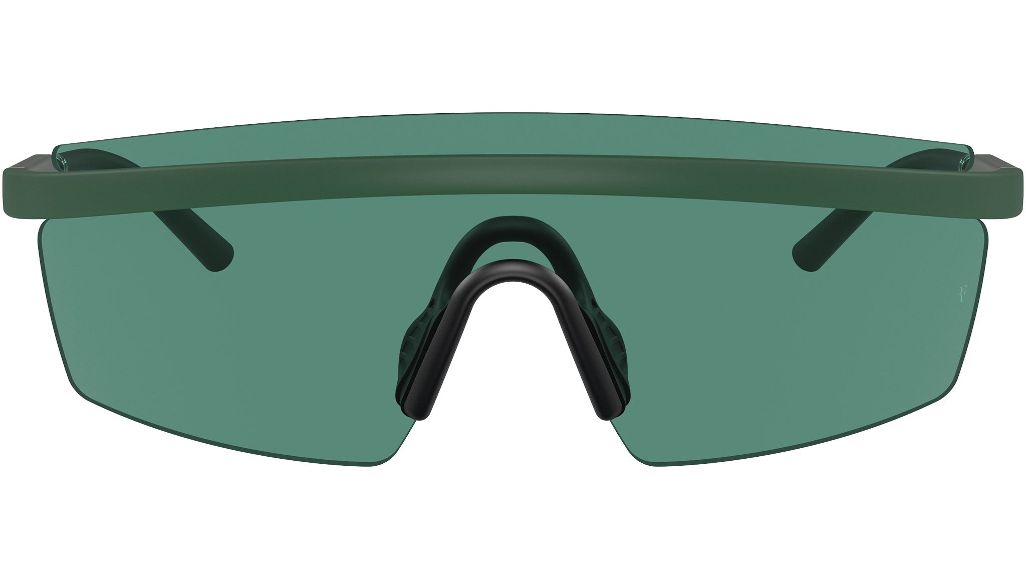 R-4 OV5556S 700471 Ryegrass