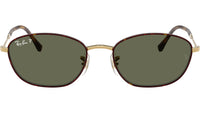RB3749 927358 Tortoise