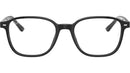 Leonard Optics RB5393 2000