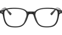 Leonard Optics RB5393 2000