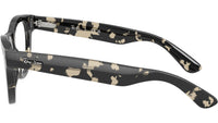 RB5510 Optics 8117