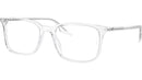 RB5421 Optics 2001