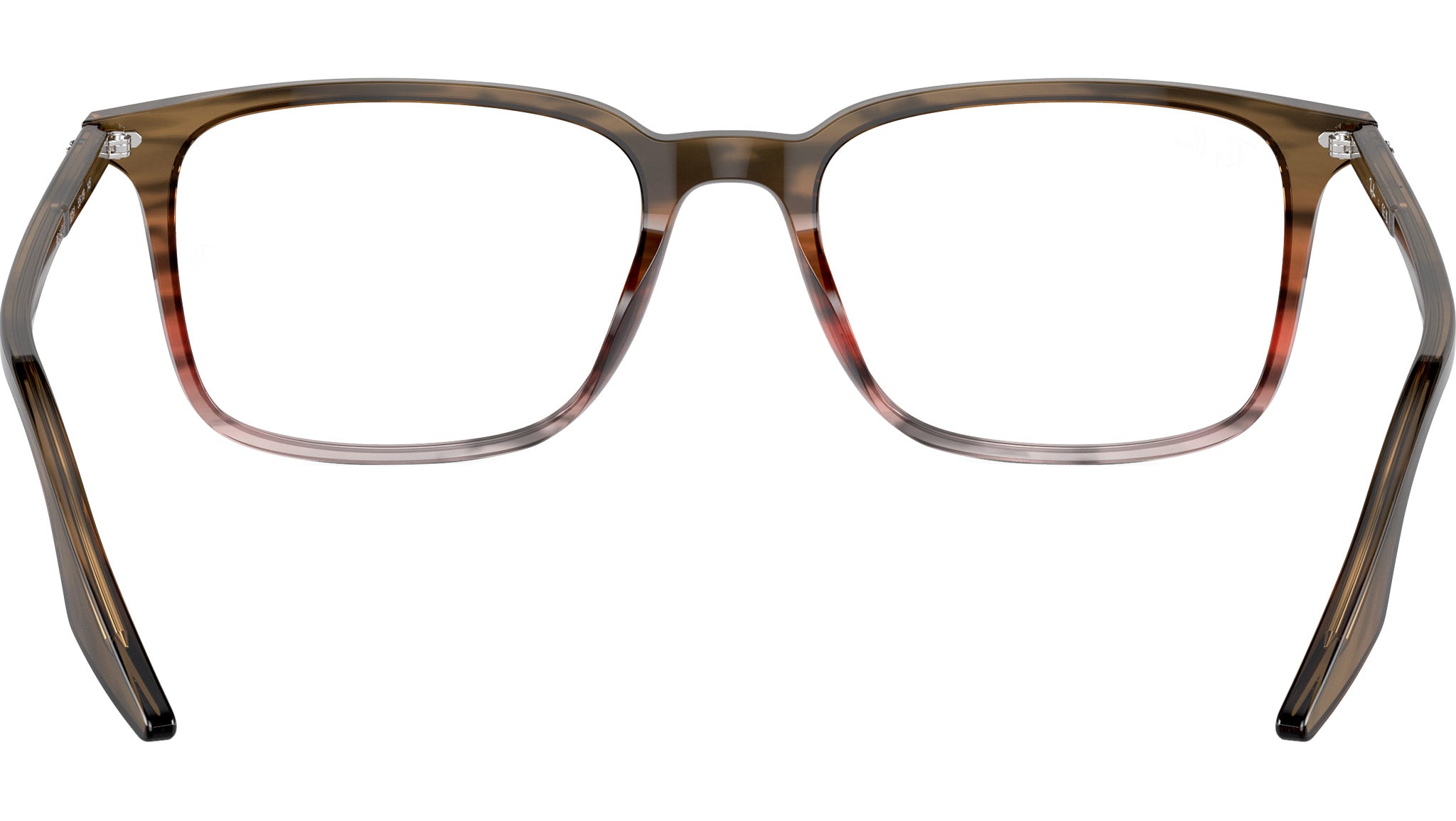 RB5421 Optics 8251