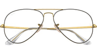 Aviator Optics RB6489 2890