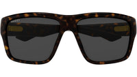 GG2239S 002