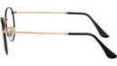 RB3447V Optics 3173