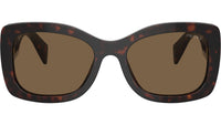 PR A08S 16N5Y1 Tortoise