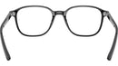 Leonard Optics RB5393 2000