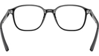 Leonard Optics RB5393 2000