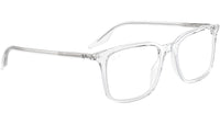RB5421 Optics 2001