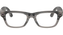 Meta Blayzer Optics Gen2