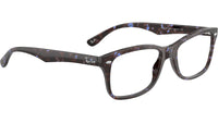 RB5228 Optics 8424