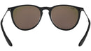 Erika RB4171 601/55 black