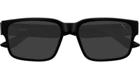 PU0542S 002