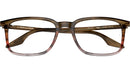 RB5421 Optics 8251