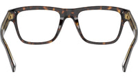 DG 3362 502 tortoise